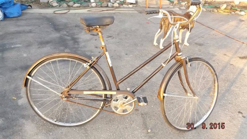 Vintage Girls Bike