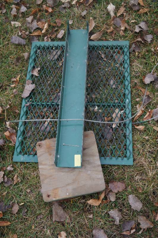 Tree Stand