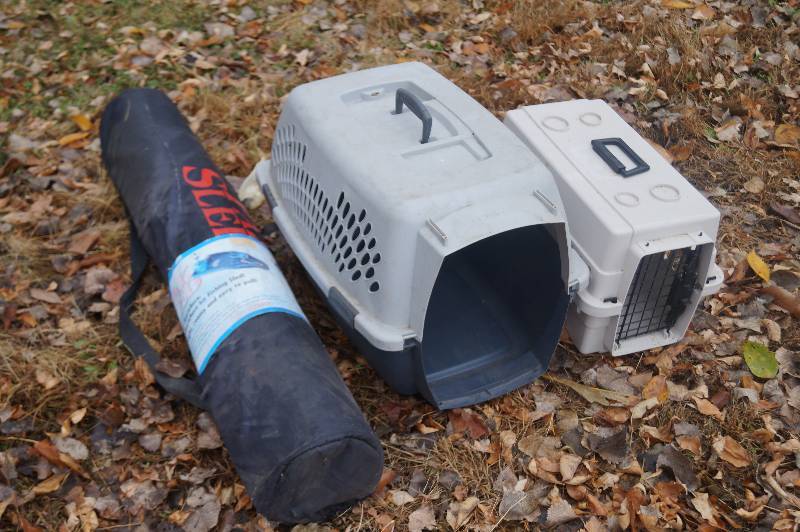 Dog Kennels