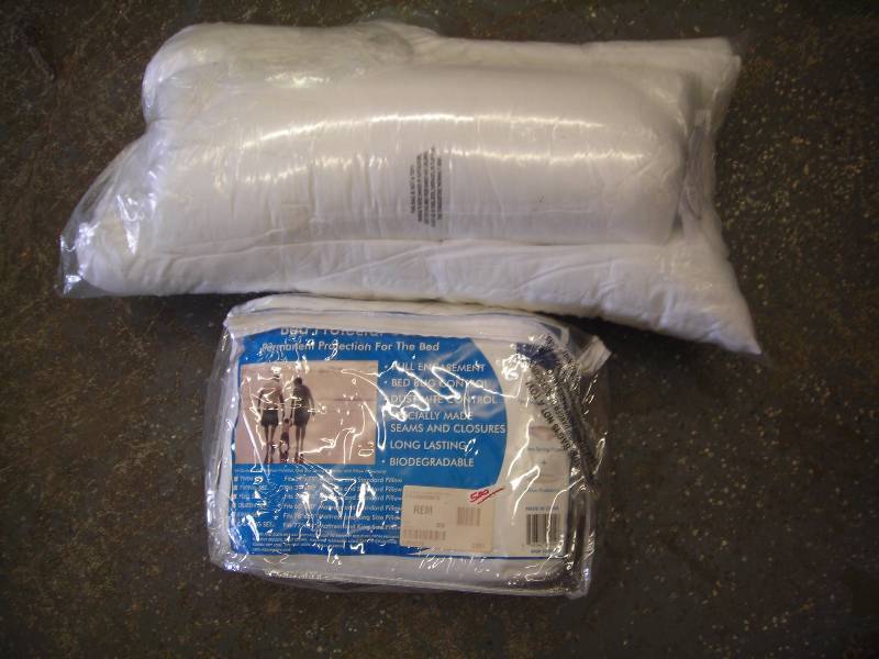 Queen Size Mattress Protector & 2 Pillows