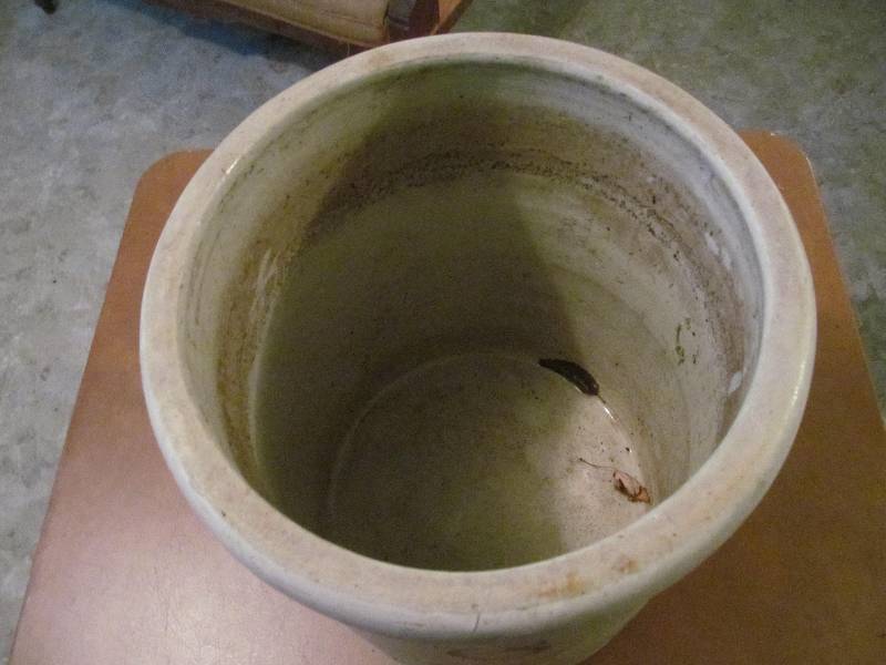 6ga Redwing Crock