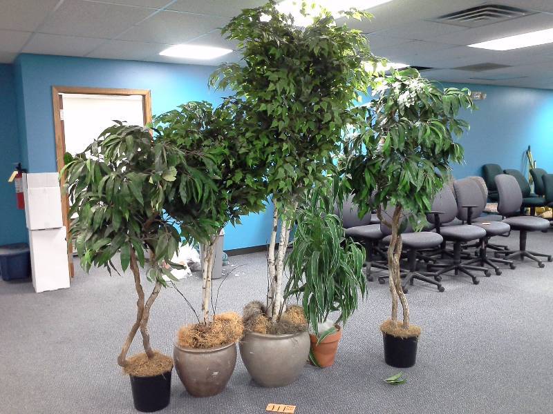 Artificial Plant Lot (Tall)