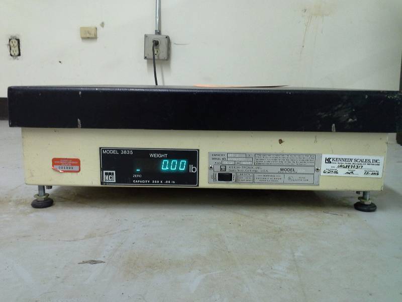 Weigh-Tronix Digital Scale (250 Lbs.)
