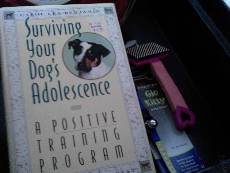 puppy suppys