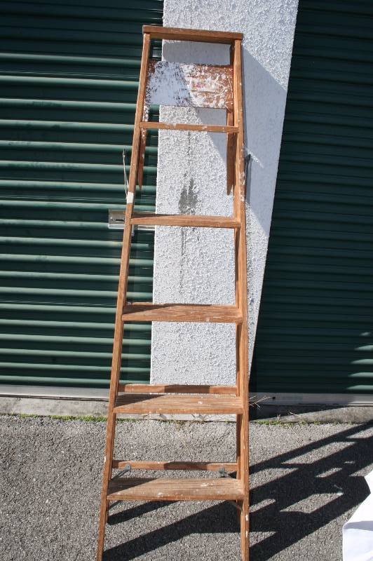 Step ladder