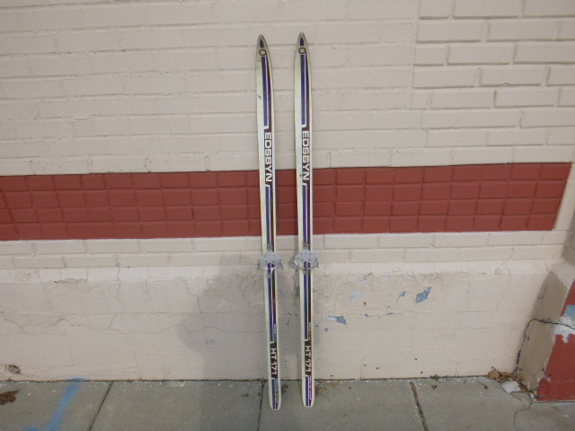 Fisher Europa Cross Country Skis