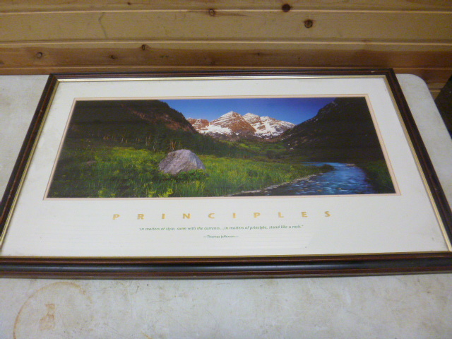 Principles Framed Print