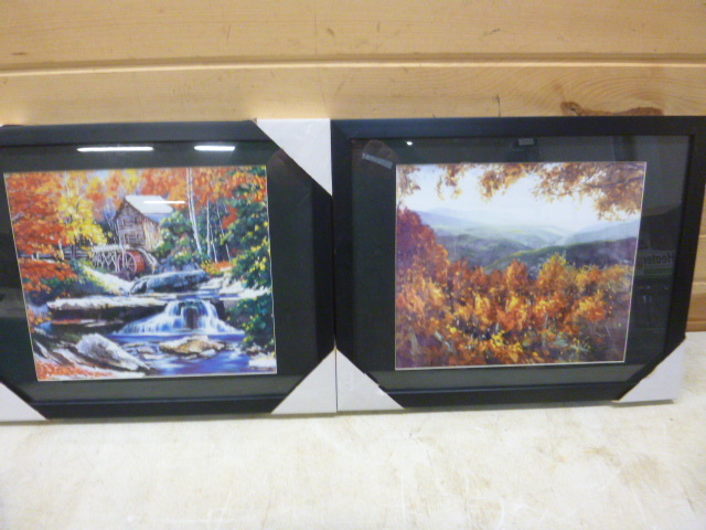 2 Framed Scenic Prints