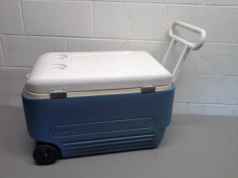 Igloo Cooler