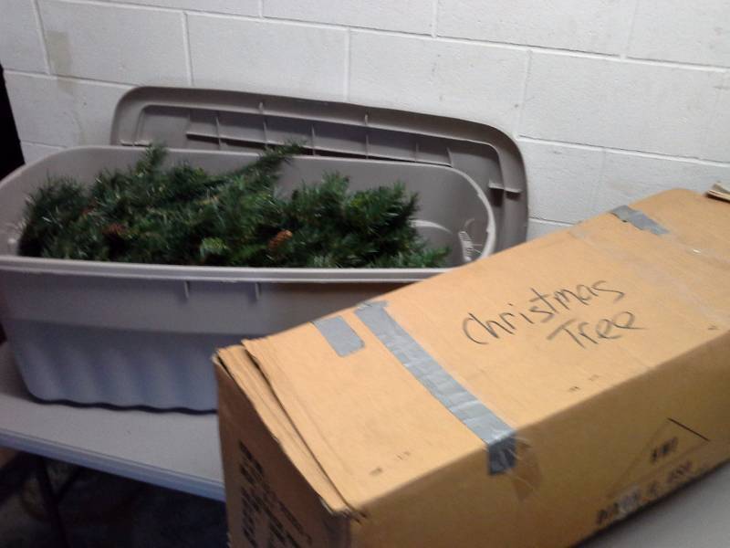 6.5 Gatwick Pine Tree