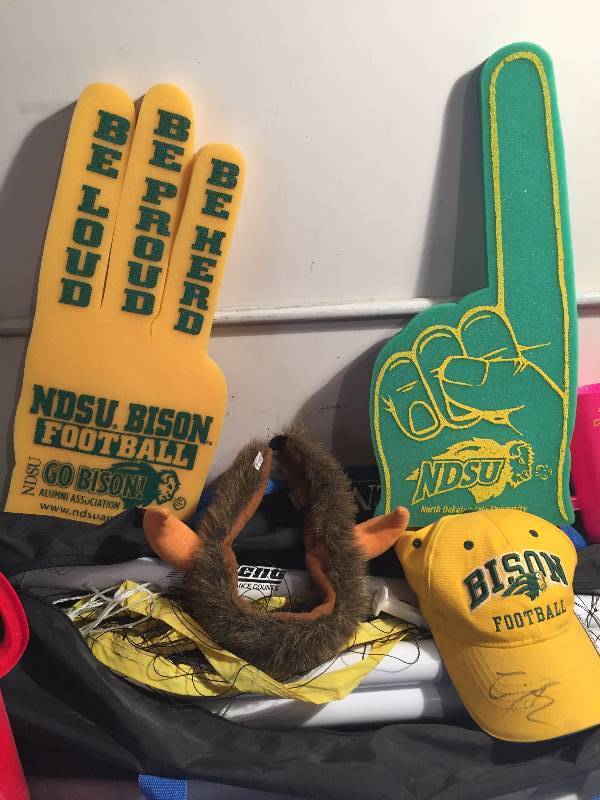 BISON FAN GEAR
