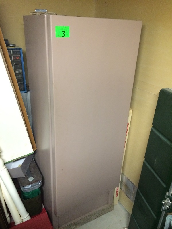 lot 3 image: Treadlock 12 Gun - Gun Safe  Measures 24 wide x 19 deep x 63 tall  - lock included