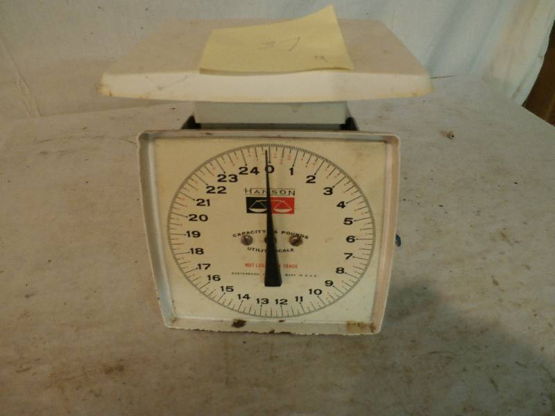 scale