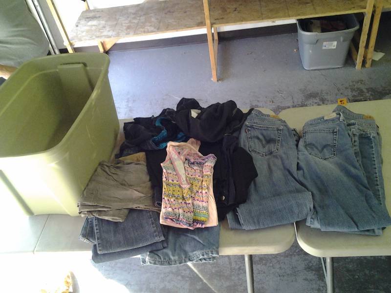 Lot Of Misses Size 12-14 Petite, 2 Mens Swim Trunks Size XL With Tote