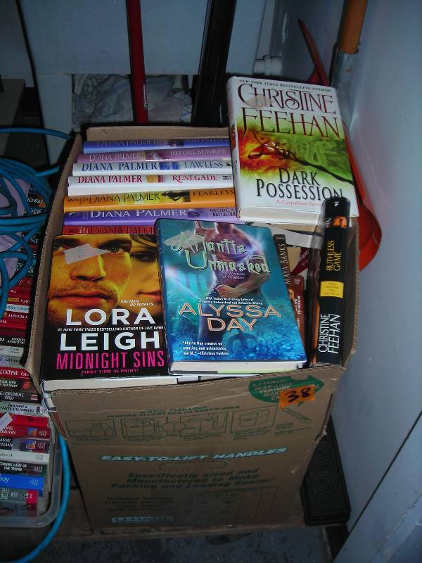 Over 100 Romance Novels & 12 Hard Covers