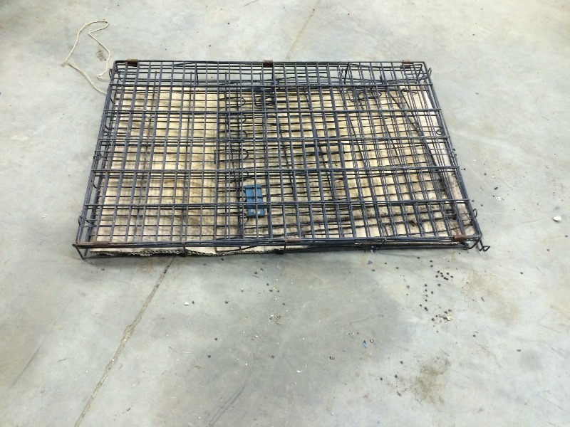 Dog Kennel - this one collepses  size 36 l x 24 w x 28 h