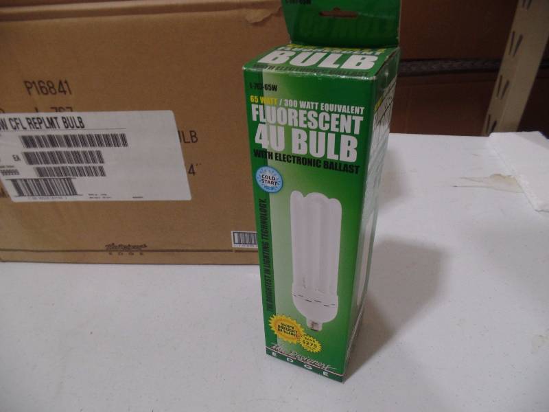 Fluorescent Bulbs with Ballast