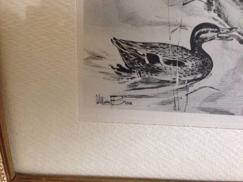 lot 10 image: Rough Grouse, Geese, and Ducks Sketches