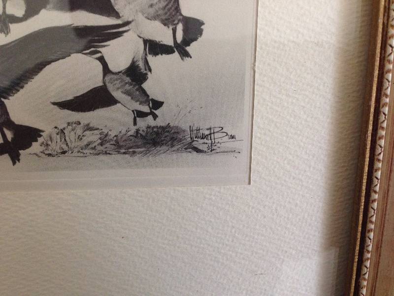 lot 9 image: Geese, Ducks and Pheasant Sketches