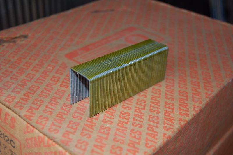 Galvanized Staples