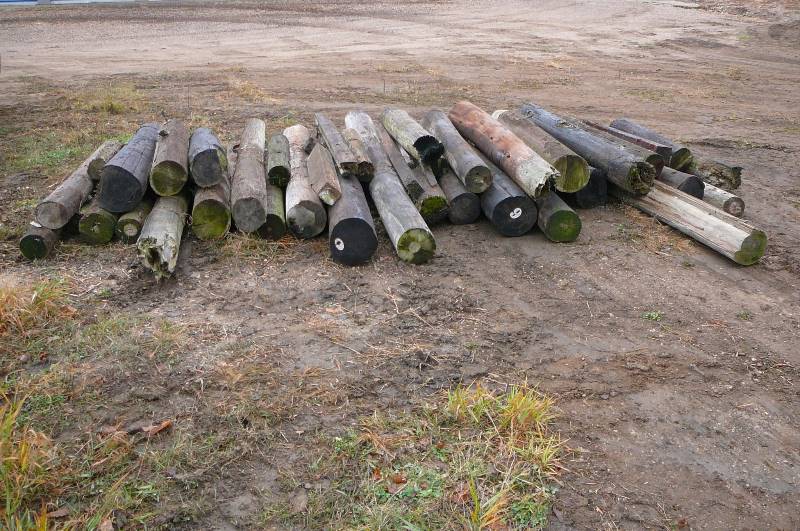 lot 1 image: 35 Poles Varies Lengths