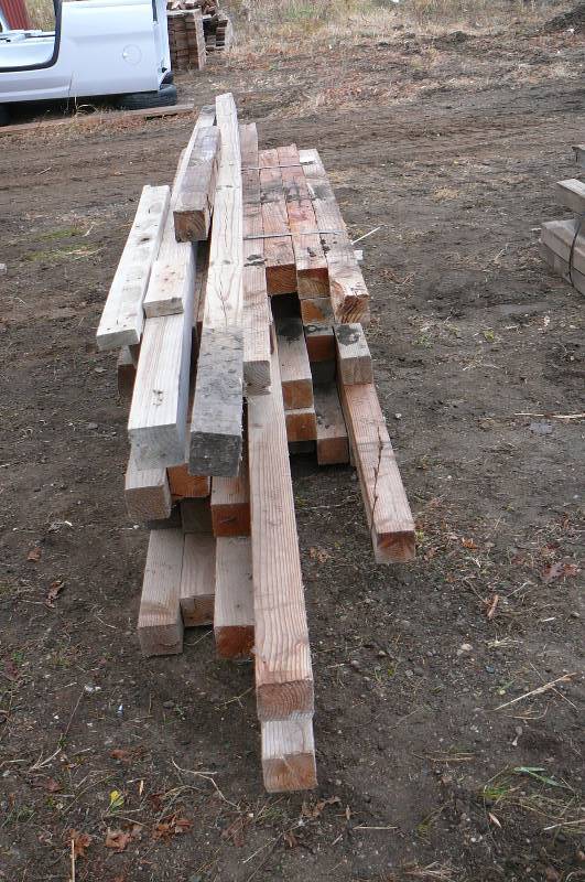 lot 11 image: 42 - 4x4 Spruce pots 5 - 13 Mixed