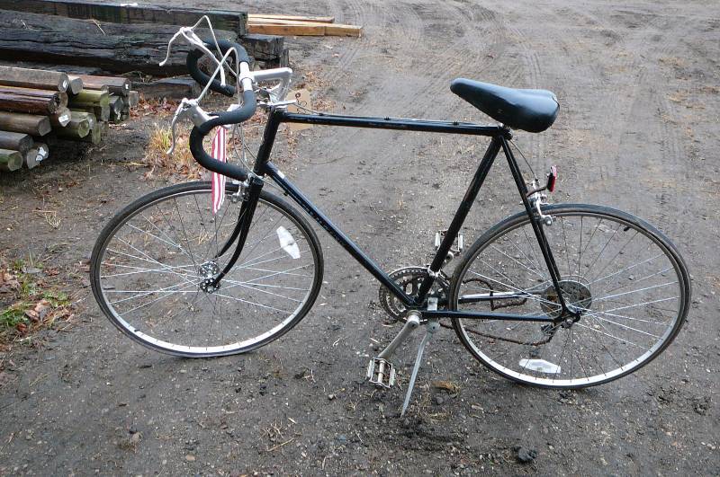 Schwin Bike