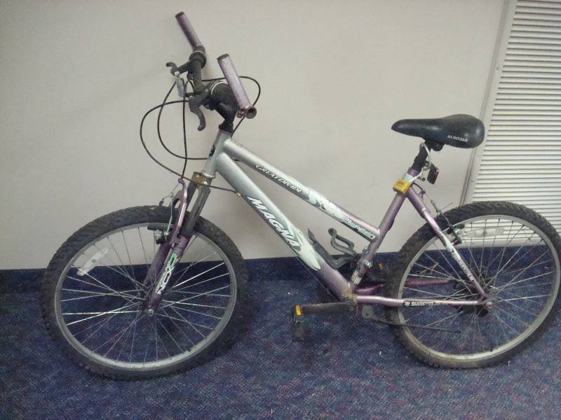Magna Girls Bike, Lots Of Wear, Needs Maintenance