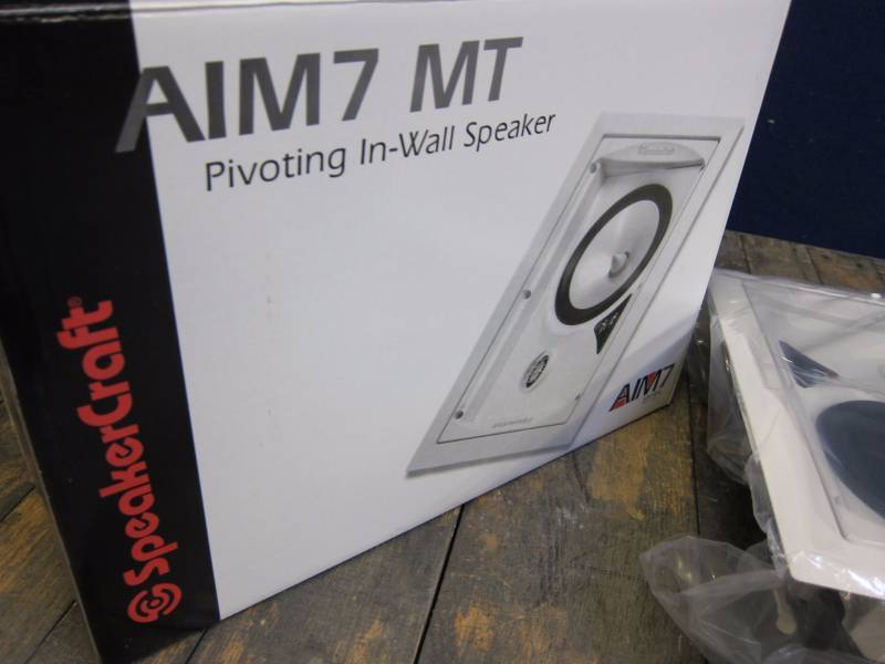 Pivoting In Wall Speaker
