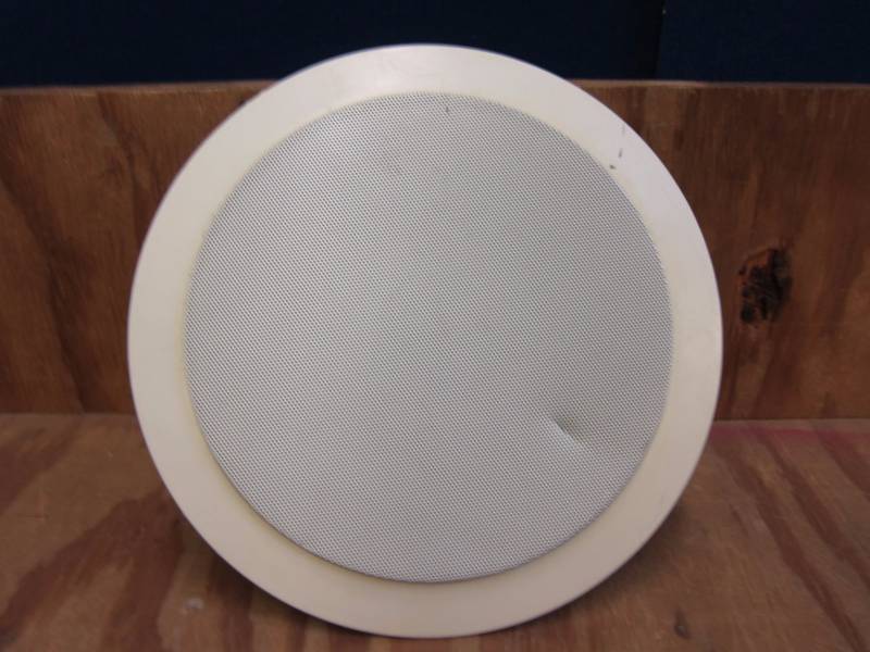 Ceiling Mount Speaker