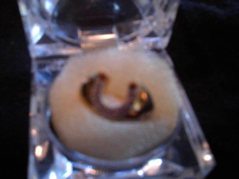 size 8 horseshoe and diamond ring