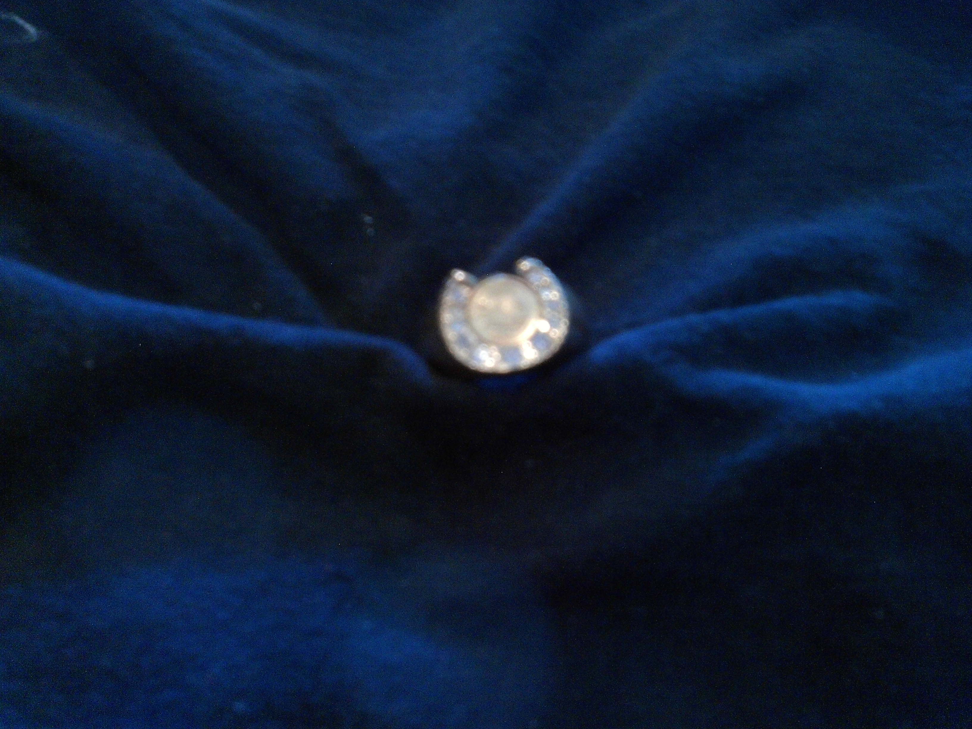 size 11 mans horseshoe ring