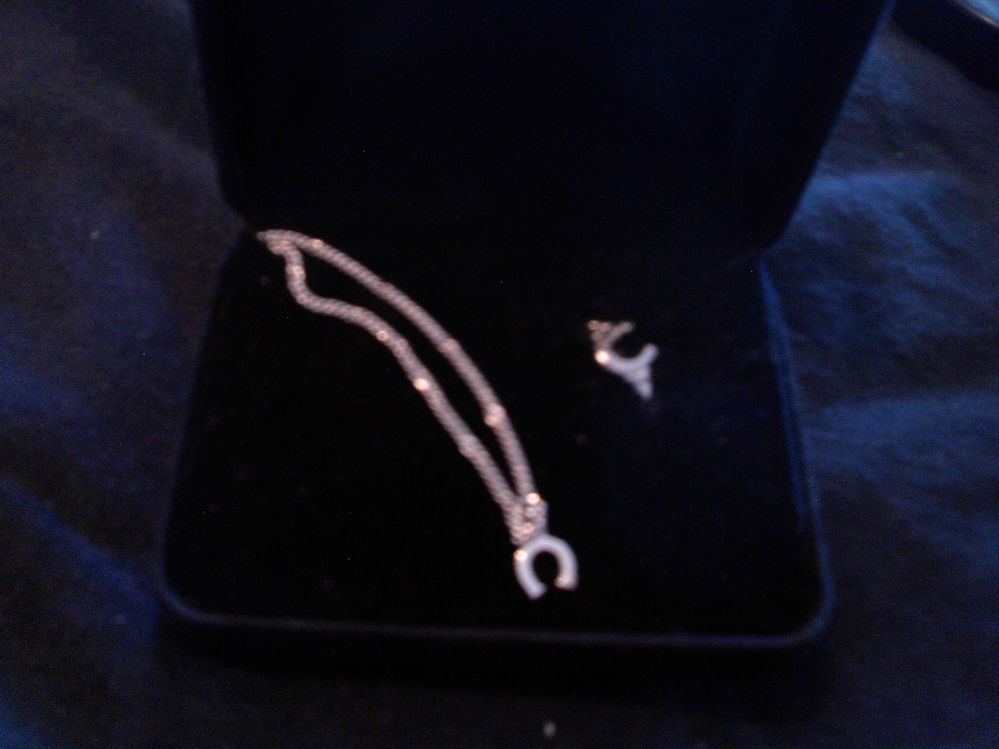 horse shoe ring and knecklace