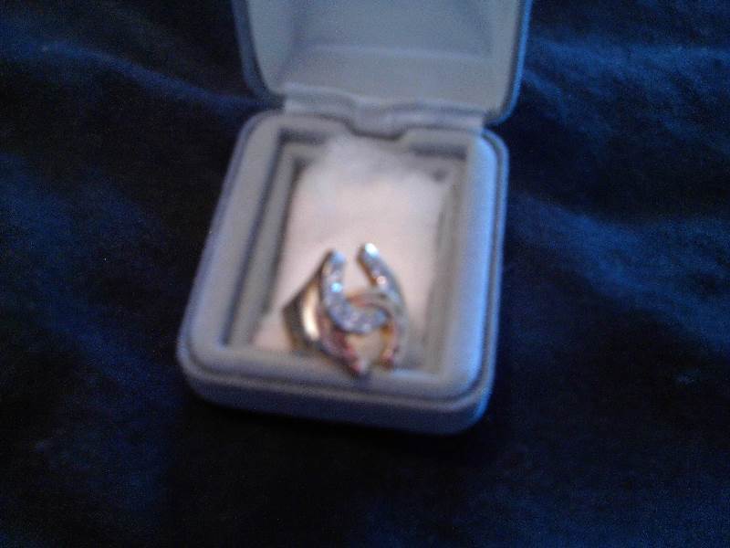 double horseshoe ring