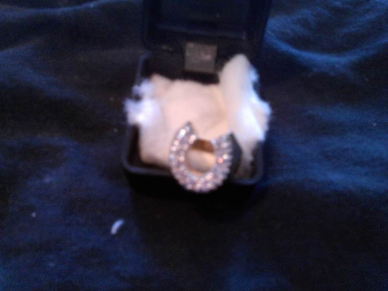 size 10 horseshoe ring