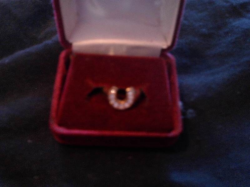 size 6 horseshoe ring