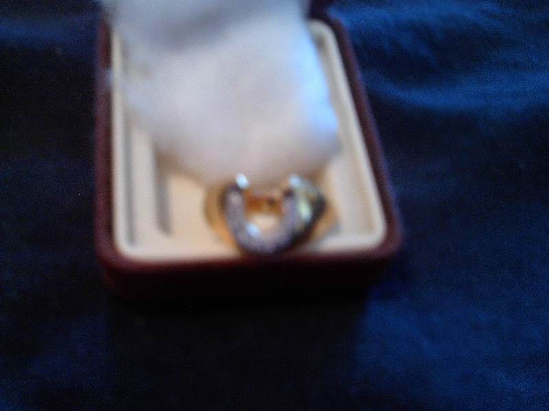 size 8 horseshoe ring