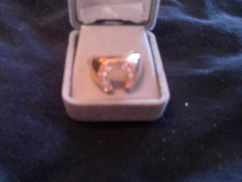 size 12 horseshoe ring