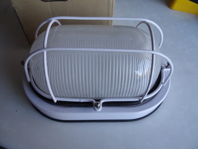 lot 55 image: oval ceiling light with protective cage