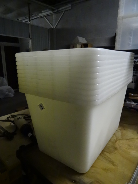 lot 129 image: 10 Plastic Nesting Totes 21 X 14 X 13