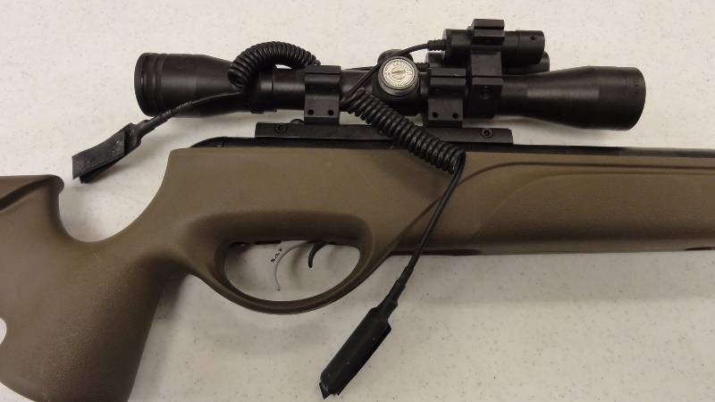 Gamo Varmit Hunter HP