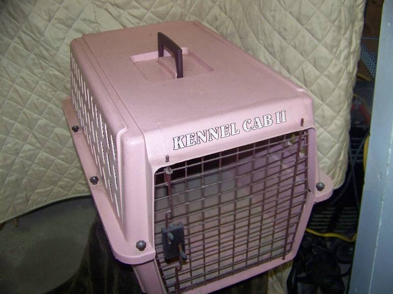 Pet kennel