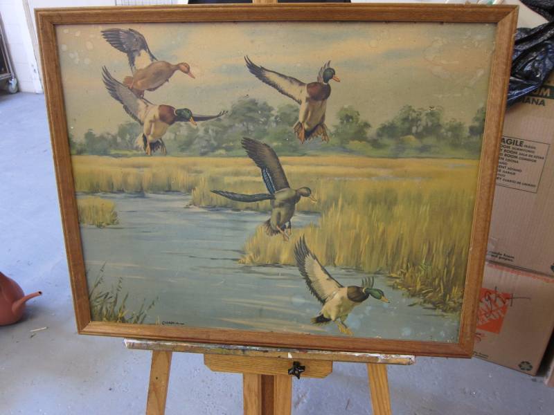 Wildlife Art