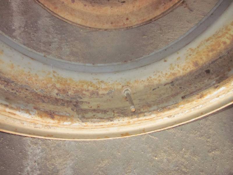lot 6 image: 5 Dayton Rims
