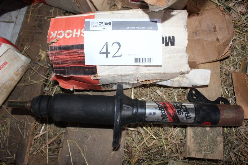 Ford Motorcraft Shock Absorber Kit AM-24  E1FZ-18124-E