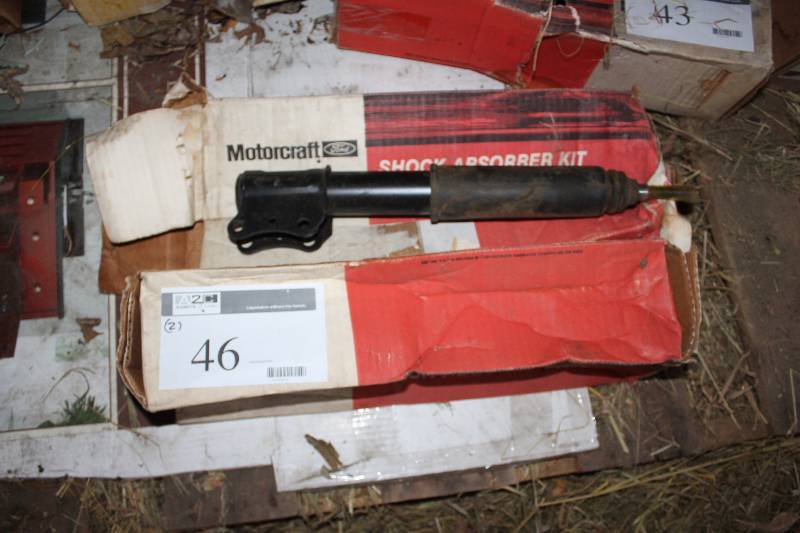 Ford Motorcraft Shock Absorber Kit  (2) E6PZ-18125-A