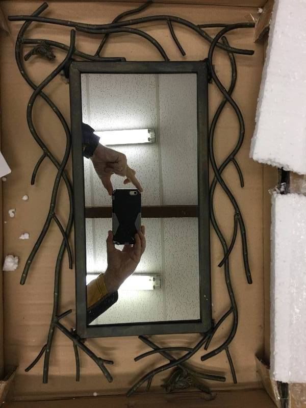 Bird Mirror 14 x 23 Wall Art   retail $104