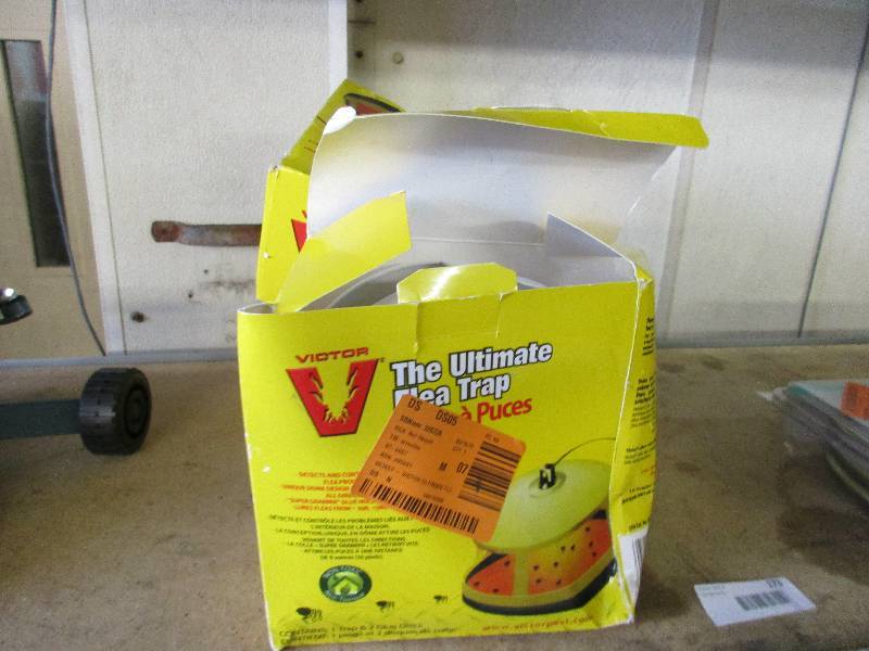 Flea Traps
