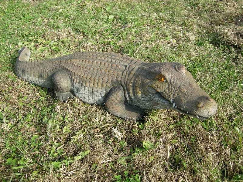 Alligator Statue