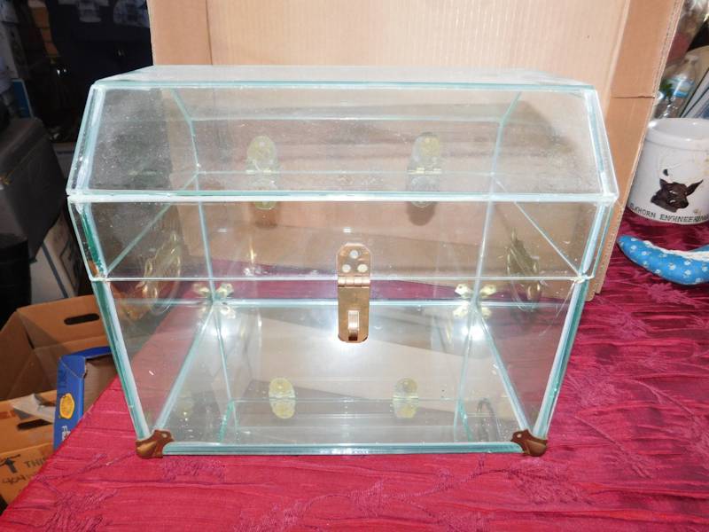 lot 153 image: Glass display box all pieces are present
